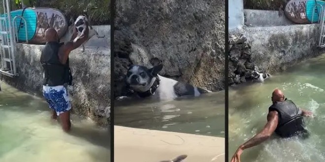 Booba plonge en plein canal d'eau pour sauver un chien de la noyade : la vidéo affole la toile !